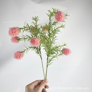 �����[���ѹ�Ӣë�������滨�廨��c�������l�ҾӲ����쾰�zӰ