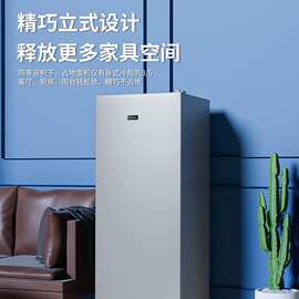适用夏新148L立式冰柜家用抽屉全冷冻冰箱小型一级能效储奶保鲜冷