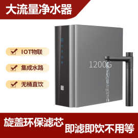 源头厂家 1200G大流量净水器家用直饮净饮机贴牌定制反渗透净水机