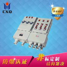 BXX51系列防爆动力检修箱IP66沈阳华荣防爆照明电器BLK51