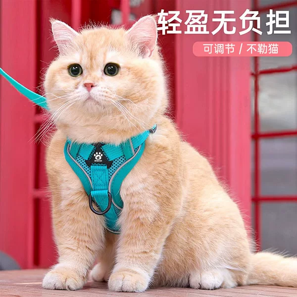 Cat Leash Vest Reflective Pet Chest Strap Anti-break Breathable Walking Cat Leash Medium and Small Dog Leash
