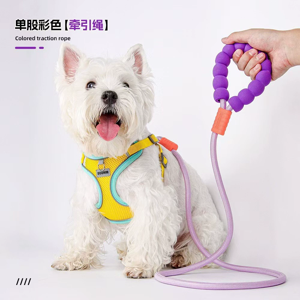 Трансграничный взрывной многоцветный поводок для собак