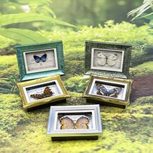 ������˱��Wʽ�������N�Ҿ��b[���������նY����ս̌W��Ʒ