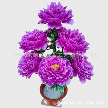 13�����^��ĵ���������裩 ˮ���� ���w�� ��̺ ��Ȧ �ǻҺ���