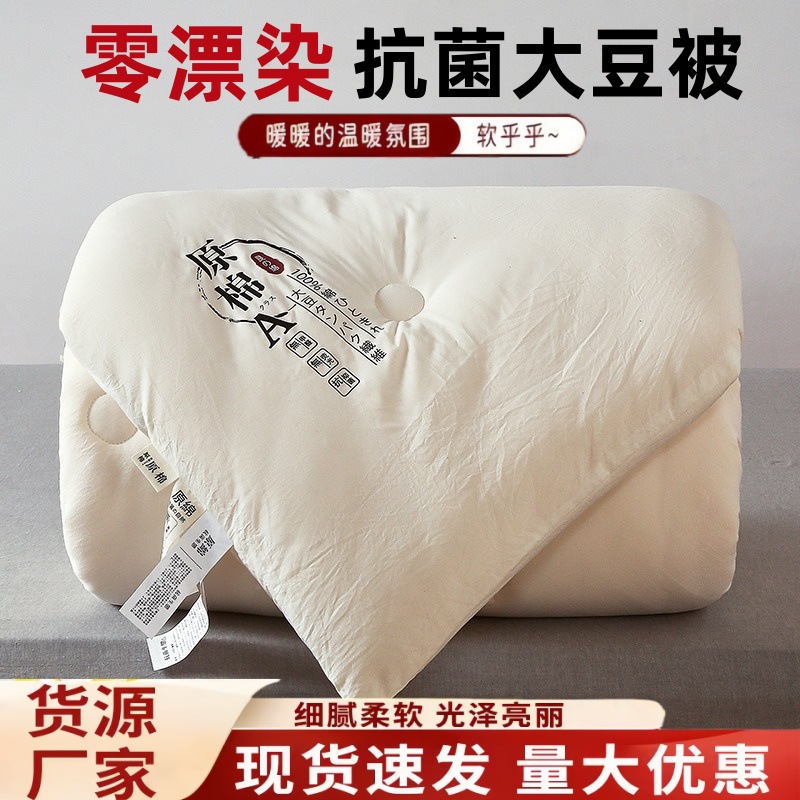 Class a Raw Cotton Soybean Fiber Quilt, Thickened for Warmth, Winter Quilt, Spring and Autumn Quilt, Group Purchase Activity Gift Quilt, Dormitory Quilt Core