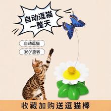 늄����D؈����ԄӶ�؈�������␞؈��С؈�����w�������ô�ȫ