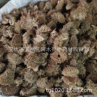 �L���� ��ș�� ��ë�� ���̚� �������� �����⚤ �в�ș��؛