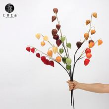 SֱN PU\\lؔt c廨ˇb