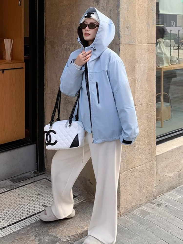 아이슬란드 블루 얇은 껍질