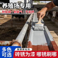 养殖厂金属除锈剂 铁锈转化剂 耐氨气腐蚀 大门 / 料槽 / 围栏翻