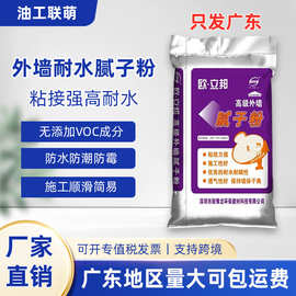 广东跨境热销外墙腻子粉外墙柔性防潮防水防霉抗裂腻子粉