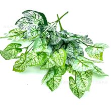 �S��ֱ�N7����cˮ���~����ֲ��Gֲ��ļٻ������b�����Ʒ