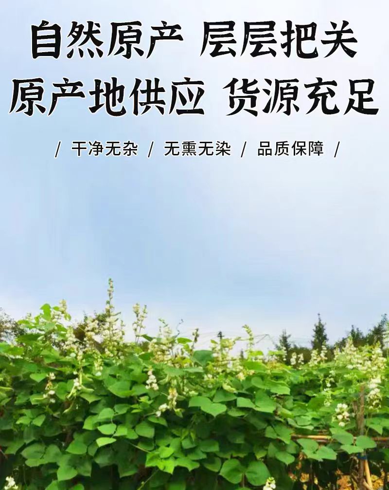 Bai Bian Dou (Dolichos lablab) — Yunnan Heirloom White Hyacinth Beans, Sulfur-Free Dried Food Herb overview