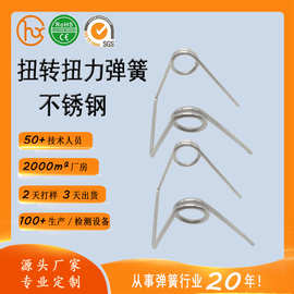 厂家直供 不锈钢双扭簧1.0 各类异线弹簧