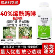 40%烯酰吗啉杀菌剂霜霉病杀菌剂正品烯酰吗啉农药杀菌剂霜霉病药