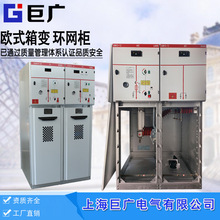 10KV高压环网柜开关柜HXGN15进线柜出线柜PT柜隔离柜母联柜成套柜