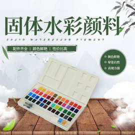 白塑料盒装48色固体水粉浓缩颜料美术初学者粉饼固体水彩源头厂家