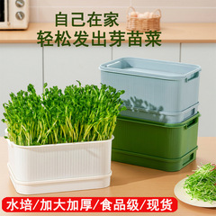 加大款育苗盘种植发芽盆黄绿豆芽无土栽培水培芽苗菜盘发豆芽神器