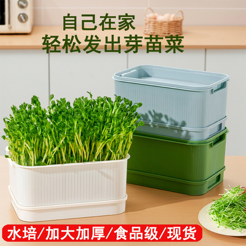 加大款育苗盘种植发芽盆黄绿豆芽无土栽培水培芽苗菜盘发豆芽神器|undefined