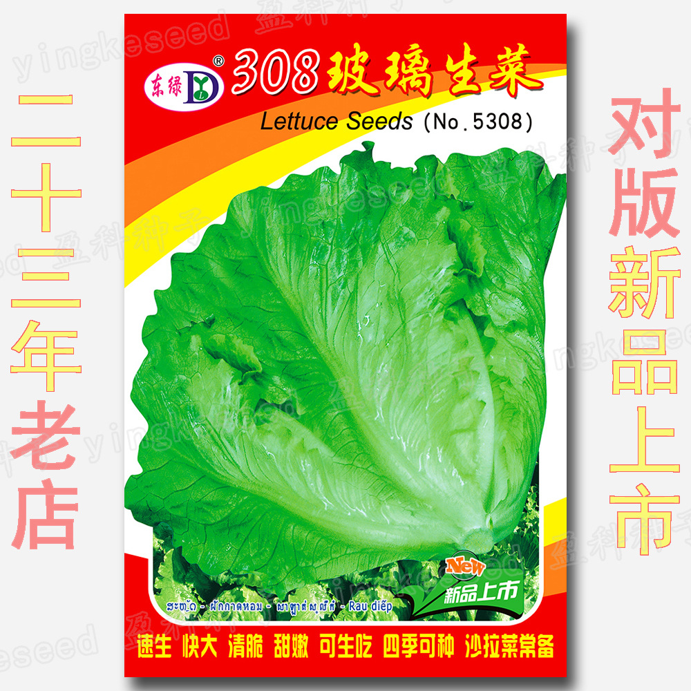 脆甜玻璃生菜种子 308玻璃生菜籽批发农田菜园盆栽四季栽培易种植