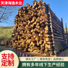 ľlm춺ӵɳ̷o߉|oľ