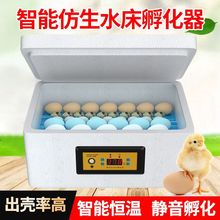 孵化器小型家用智能小鸡孵化机孵小鸡的机器鸭鸽水床孵蛋器跨境