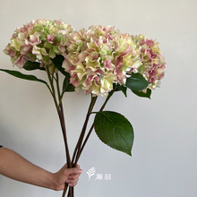 ��Ʒ��߅������滨��c�Y��·�����ý����Ĕz���߼Ҿ��bٻ�