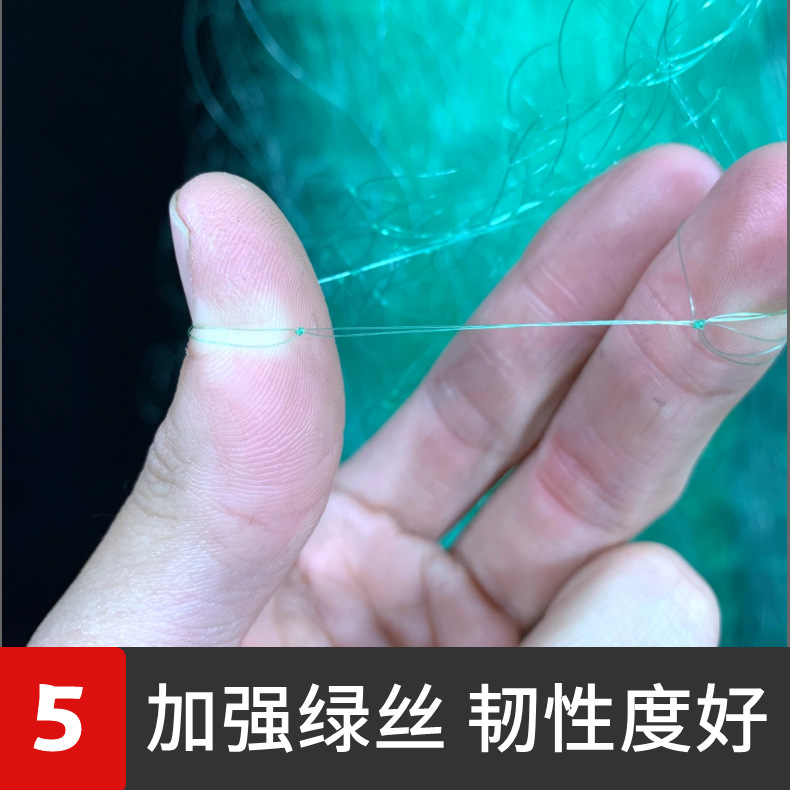 绿丝三层网8
