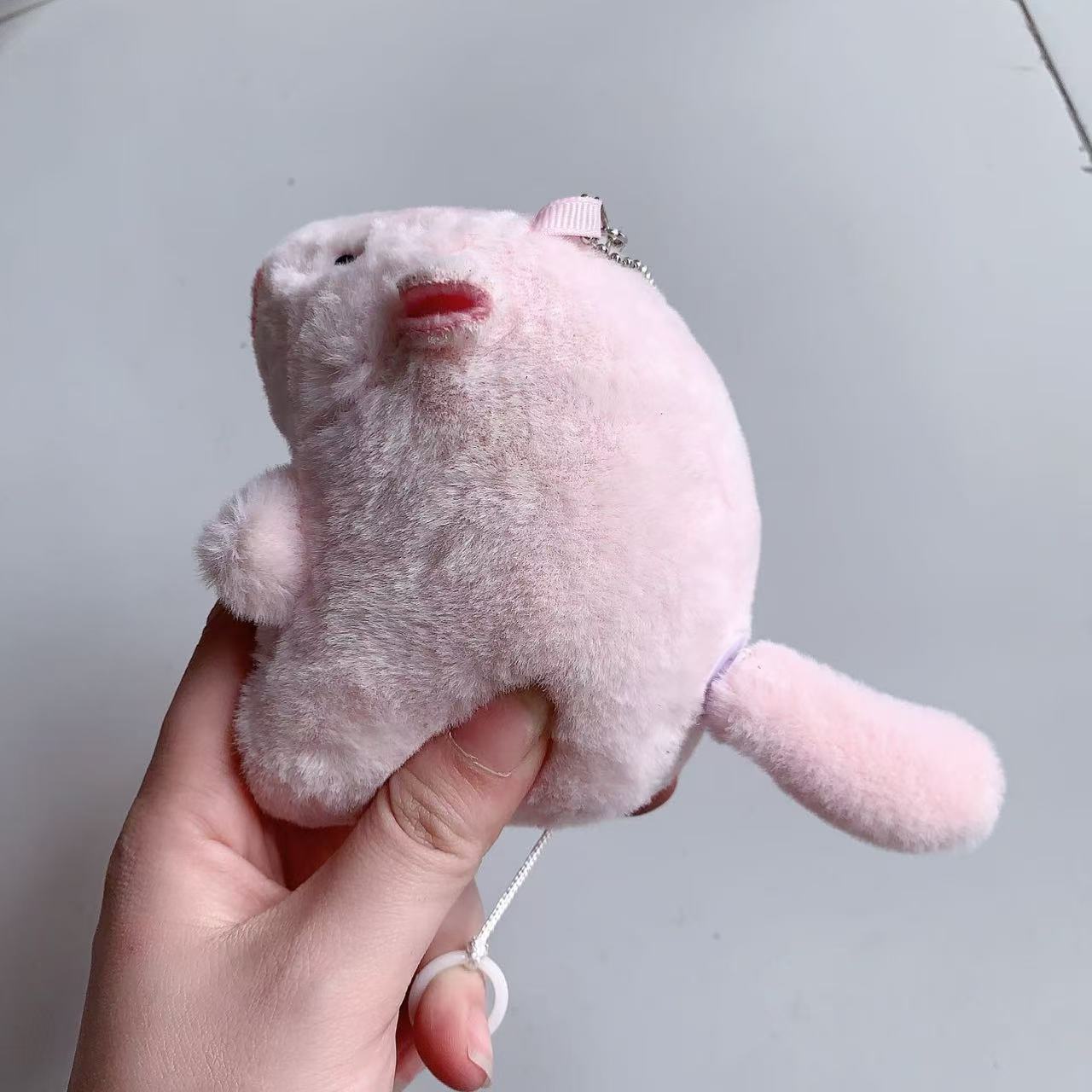 仏陀系の萌えはかわいいカピバラの君をかわいがります。