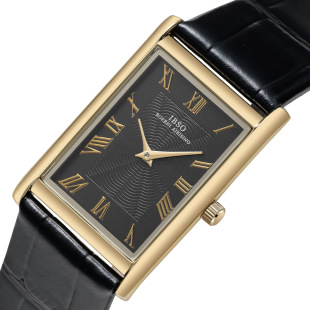 IBSO S1001L �¿�ʯӢ�Cо���s����������e�̄�ins�L��ʿ���