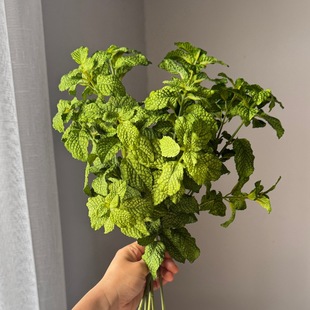 �羳���N�����~����Gֲ��֦���K�~Դ�^���S���l���滨��c�Ҿ�ܛ