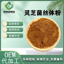 灵芝菌丝体粉 99% 食品级 现货提供 80目 嘉果肽 发酵灵芝菌粉