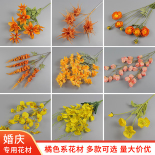 ��ɫ���滨��c��ˇ��ɫ������Y���b���·��������ĵ������