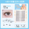 Natural Little Fox【New Product】