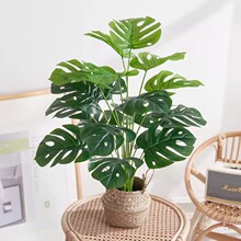 �ٻ����滨�پGֲ�[��С�����b��W�L�͏d���������񻨻��辰