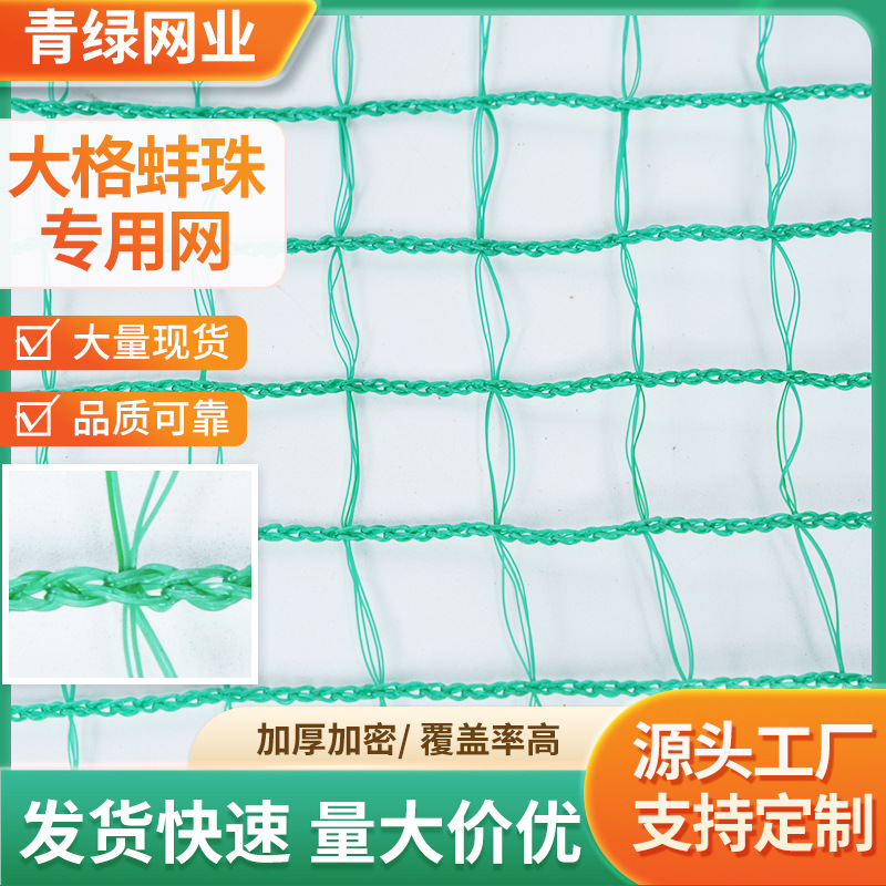 源头工厂大格蚌珠专用网水产养殖网防逃网遮阳网池塘围网量大价优
