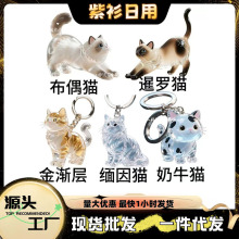 �¿�ɐ�؈�䌙��ë�l�o��Ʒ耳׿۰�����Y��؈ë����͸�����