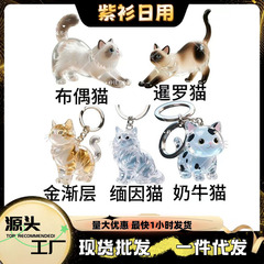 新しいかわいい猫ペットの毛のお土産キーホルダーバッグペンダントギフト猫の毛クリエイティブ透明ペンダント