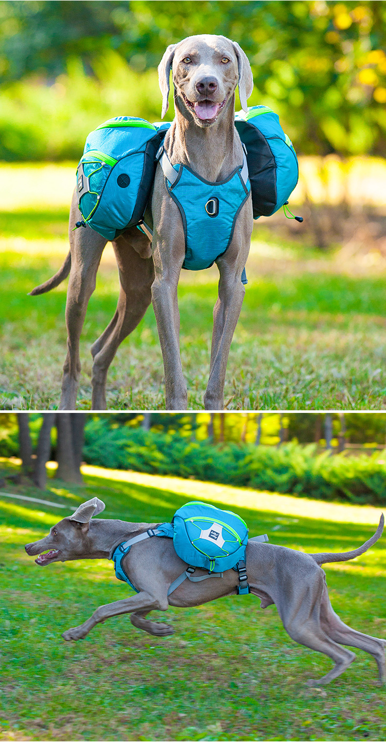 O1CN017FI3501UpjWK7XPZY_!!1001232567-0-cib.jpg?__r__=1678170722606