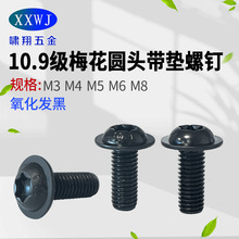 10.9�������l��÷���A�^���|�ݽz�÷���۷������m��˨M4M5M6M8