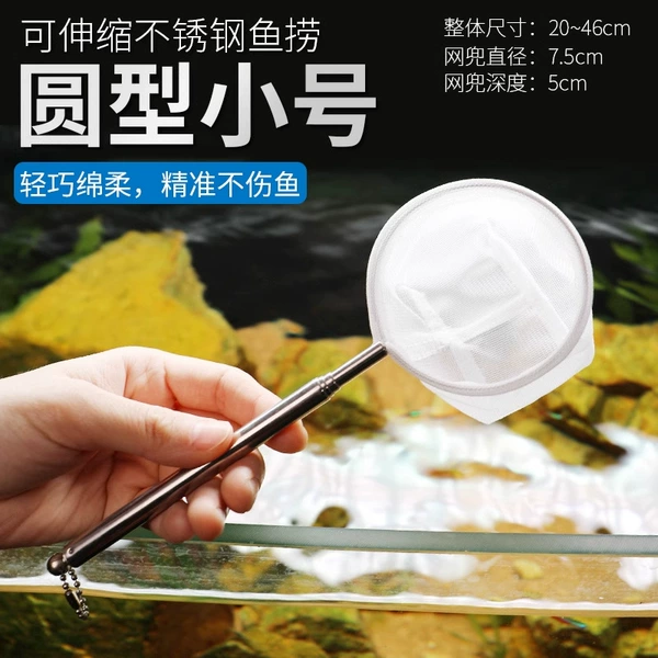Stainless steel, small