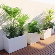 ���⻨�����P䓻����������[�ֵ��Fˇ�����L���λ����ۘǲ��V��