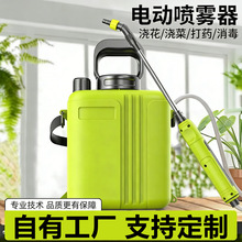 双肩式6L小型电动喷雾器家用园艺浇花打药机雾化喷水器高压喷水壶