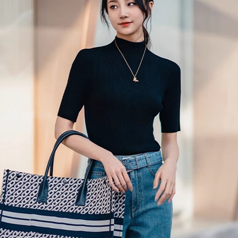 Brother's New Women's 2024 Summer Elegant Slim-fit Half-high Neck Seamless Ice Silk Knitted Short-sleeved T-shirt for Women