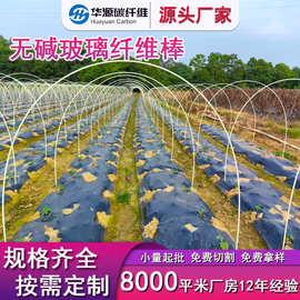 农用玻璃纤维杆抗裂抗氧化耐高温黄瓜豆角秧苗爬藤支架杆纤维棒