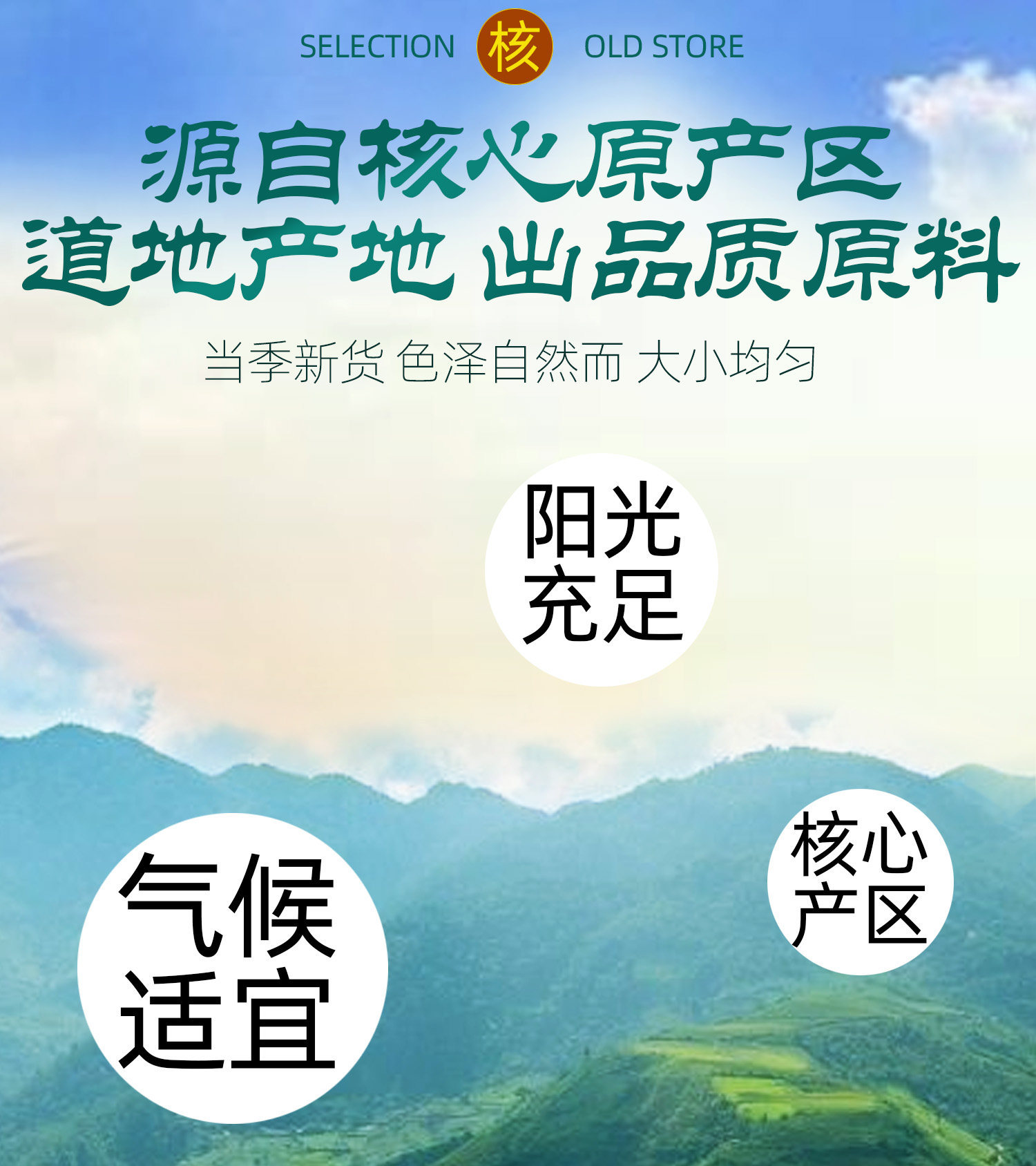 Morinda Root Ba Ji Tian Dried Herbal Slices for Decoction Wine and Soup Traditional TCM Wellness Ingredient key features