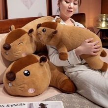 ��ͨ��ܛſſ��������ë�q�����������żŮ������鰲�᲼����