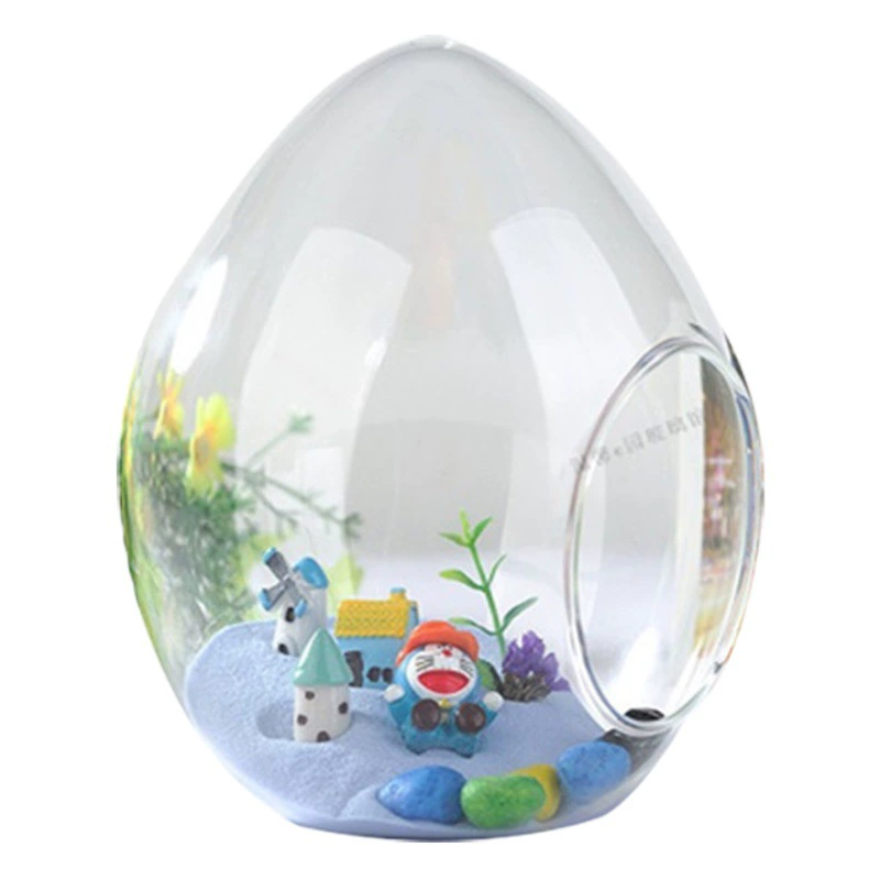 Микро-ландшафтная экологическая бутылка для суккулентов в форме яйца, ваза для мха, бутылка для ландшафтного дизайна, DIY креативные украшения, оптовый производитель