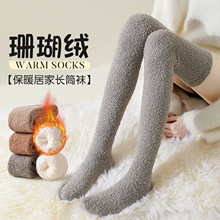 诸暨珊瑚绒女袜子秋冬季地板袜不掉毛加厚保暖居家袜小腿袜过膝袜