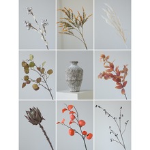 2026Lٻ[Oմɻƿ廨[ʽп͏dR